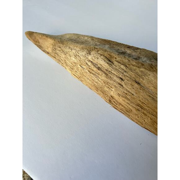 Driftwood from Hetch Hetchy dam 12 inches aquarium art decor - Picture 4 of 9